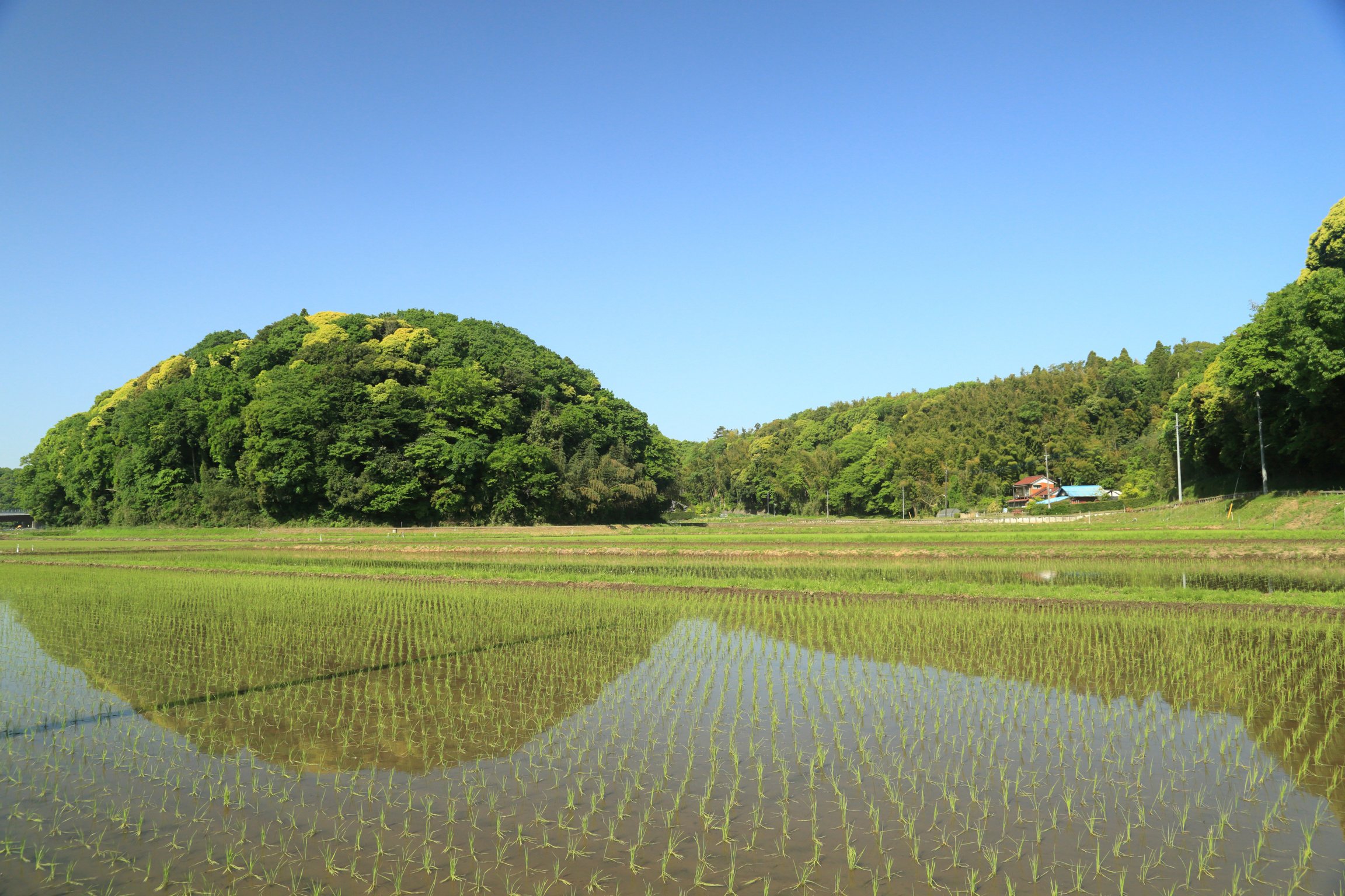 The landscape of Satoyama.